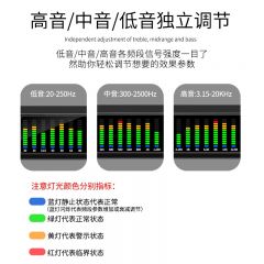 T531专业数字31段均衡器