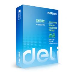 得力（deli）7419莱茵河 A4 80g复印纸 500张/包 5包/箱