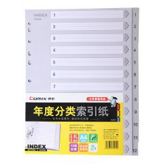 齐心 IX894 年度索引纸 A4 12页1-12 11孔