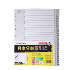 齐心 IX899 月度索引纸 A4 31页1-31 11孔