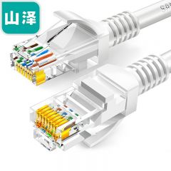山泽 ZW-01 高速超五类网线 1米 白色