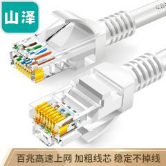 山泽 ZW-03 高速超五类网线 3米 白色