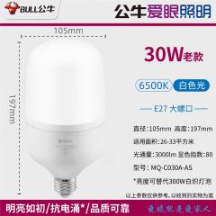 公牛 30W柱形灯 老款 6个/组