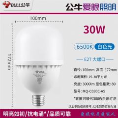公牛 30W柱形灯 新款 5个/组