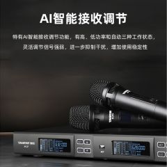 得胜 M-2FH 真分集一拖二无线手持麦克风
