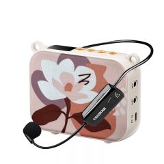 得胜 E30W 无线扩音器 扬声器
