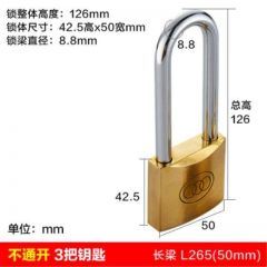 三环 全铜挂锁 独立长梁 3个钥匙 50mm