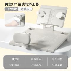 猫太子 10101M1423-2C 坐姿矫正器 坐姿阅读支架 灯光款 灰色